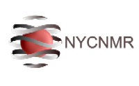 New York Center for Nanomedicine Research