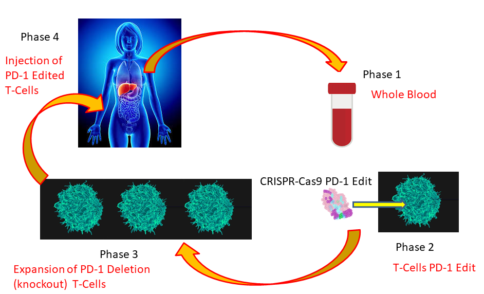 ICAHRIS CRISPR PD1 Edit