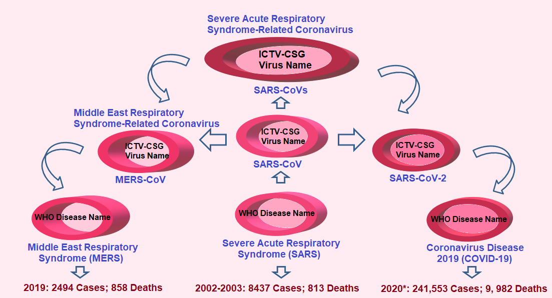 Figure 2 Consensus on the name of Severe Acute Respiratory Syndrome-Related Coronavirus (SARS-CoVs) and on the name of the diseases caused by these viruses