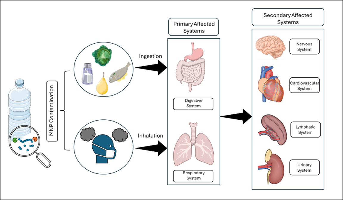 A screenshot of a cell phone

AI-generated content may be incorrect.