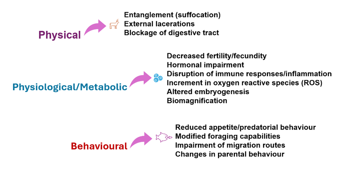 A diagram of a metabolites

AI-generated content may be incorrect.